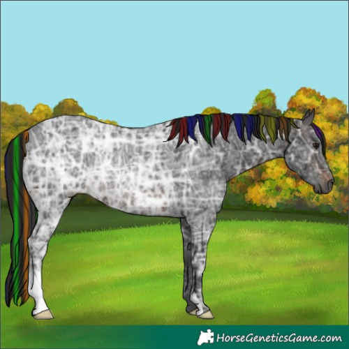 Horse Color:Gray Painted Brown Ice Rabicano 