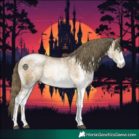 Horse Color:White Spotted Buckskin Pearl 