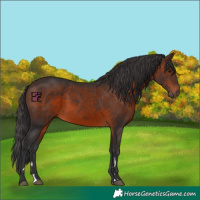 Horse Color:Brown 