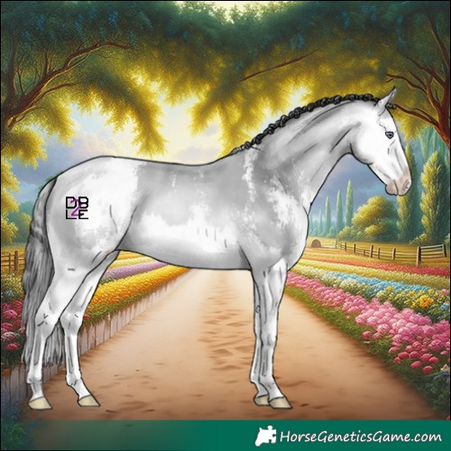 Horse Color:Buckskin Chinchilla Sabino Splash