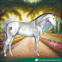 Horse Color:Buckskin Chinchilla Sabino Splash 