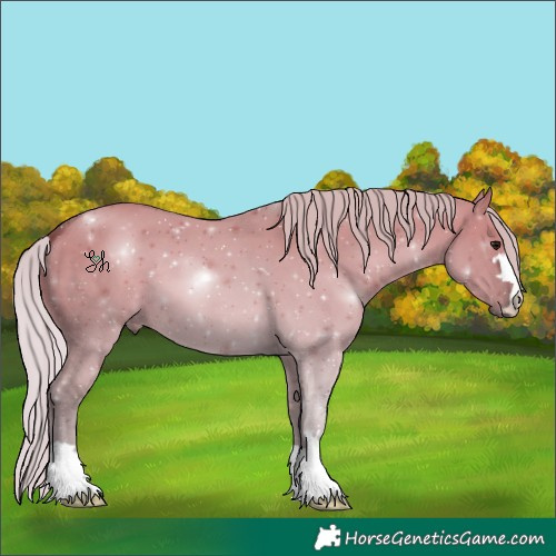 Horse Color:Silver Grullo 