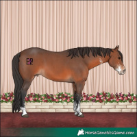 Horse Color:Brown Sabino 