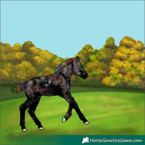 Horse Color:Void Painted Nacre White Spotted Liver Chestnut Sabino Splash 