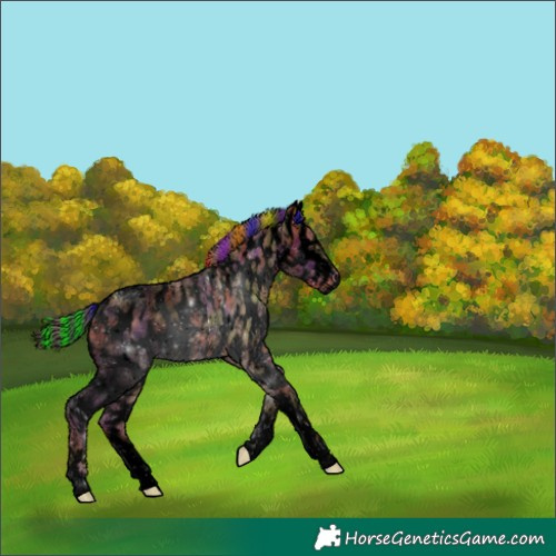 Horse Color:Void Painted Nacre White Spotted Chestnut Sabino Appaloosa 