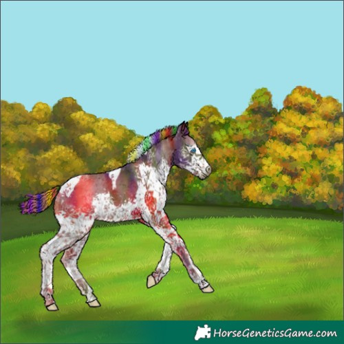 Horse Color:Painted Nacre Liver Chestnut Splash Tobiano 