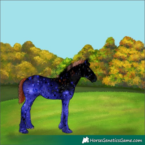 Horse Color:ERROR: UNKNOWN ANOMALY