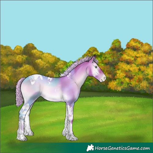 Horse Color:Watercolor Chocolate Palomino Pearl Onyx Tobiano 