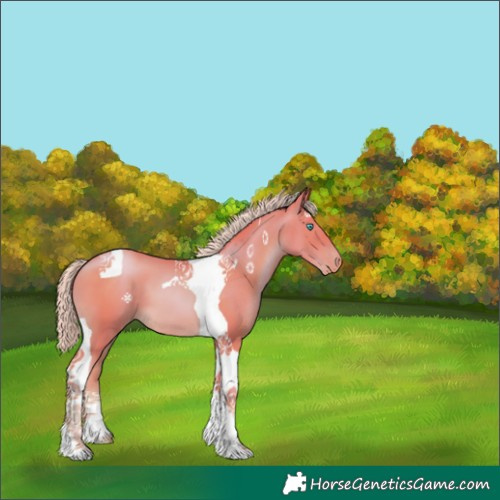 Horse Color:Watercolor Chocolate Palomino Pearl Tobiano 