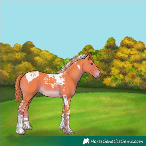 Horse Color:Watercolor Liver Chestnut Tobiano 