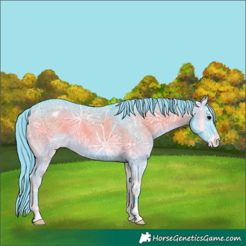 Horse Color:Watercolor Blue Onyx Ice Varnish