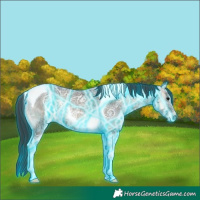 Horse Color:Thunderstruck Blue Onyx Ice Tobiano