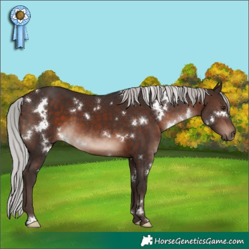 Horse Color:White Spotted Silver Brown Mushroom 