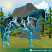 Horse Color:ERROR: UNKNOWN ANOMALY and ERROR: UNKNOWN ANOMALY