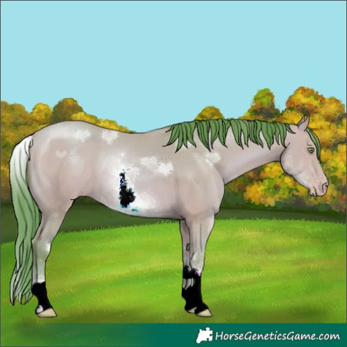 Horse Color:Watercolor White Spotted Amber Champagne 