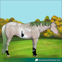 Horse Color:Watercolor White Spotted Amber Champagne 