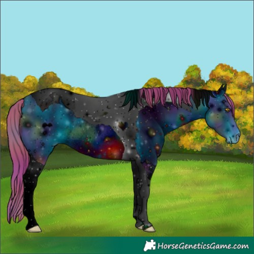 Horse Color:ERROR: UNKNOWN ANOMALY