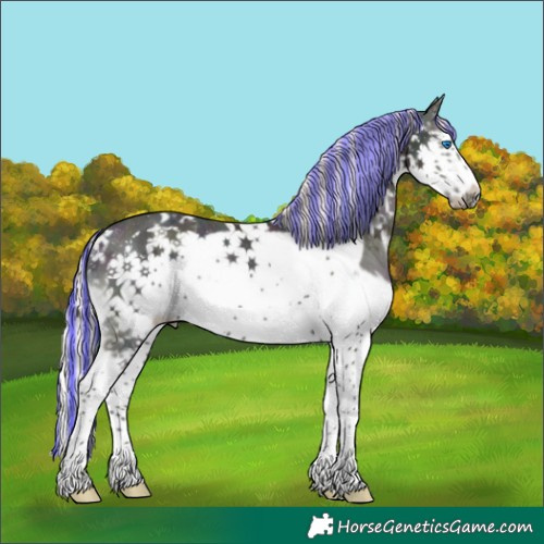 Horse Color:Painted White Spotted Midnight Chocolate Palomino Ice Pearl Splash Frame Rabicano 