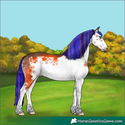 Horse Color:Painted Liver Chestnut Sabino Splash Frame 