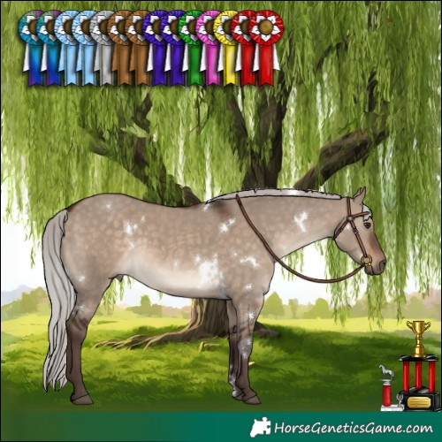 Horse Color:White Spotted Silver Brown Dun 