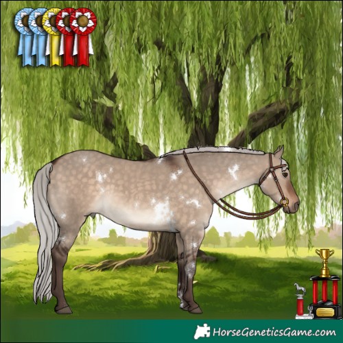 Horse Color:White Spotted Silver Brown Dun 