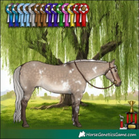 Horse Color:White Spotted Silver Brown Dun 