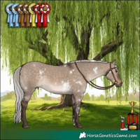 Horse Color:White Spotted Silver Brown Dun