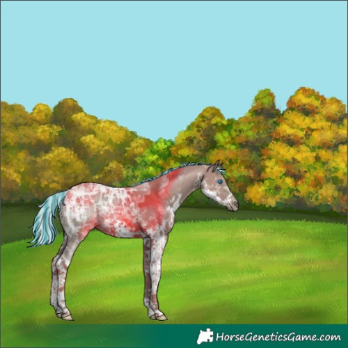 Horse Color:Painted Silver Grullo Ice Splash Frame Rabicano 
