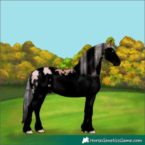 Horse Color:Void White Spotted Silver Bay Dun Splash Frame 