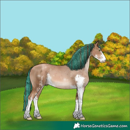 Horse Color:Painted Liver Chestnut Pearl Sabino 
