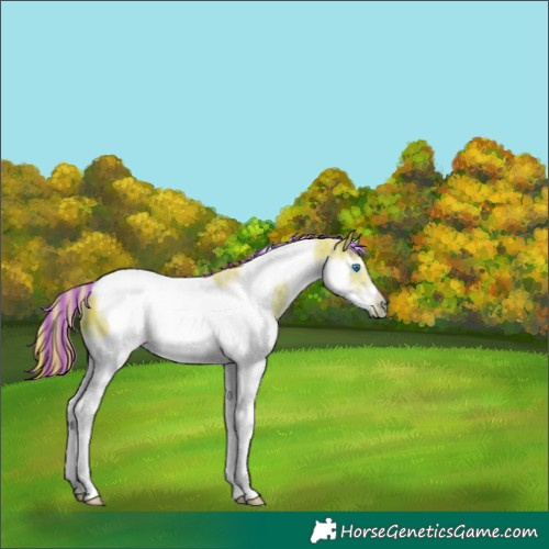 Horse Color:Painted Watercolor Liver Chestnut Splash Tobiano Frame Rabicano 