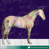 Horse Color:Nacre Amber Champagne Dun 