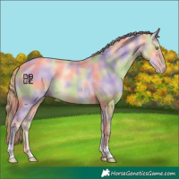 Horse Color:Nacre Gold Champagne Dun