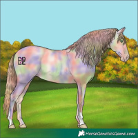 Horse Color:Nacre Gold Champagne Dun 