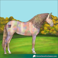 Horse Color:Nacre Gold Champagne Dun 