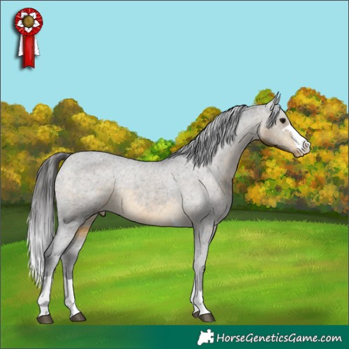 Horse Color:Buckskin Varnish Rabicano