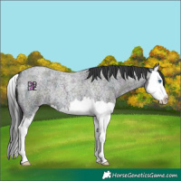 Horse Color:Midnight Blue Ice Roan Splash