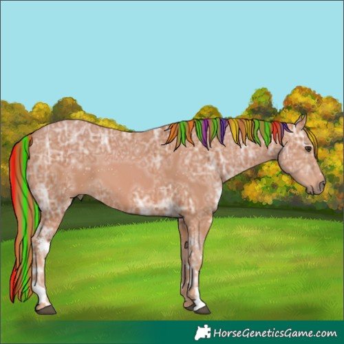 Horse Color:Painted White Spotted Chestnut Ice 
