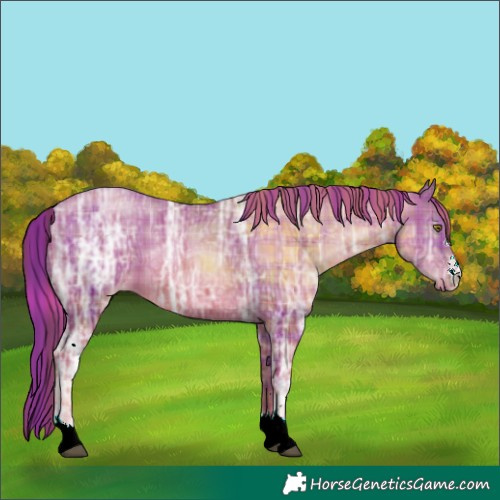 Horse Color:Plaid  Liver Chestnut Ice Pearl 