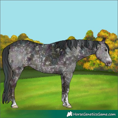 Horse Color:Plaid  Midnight Brown Ice 
