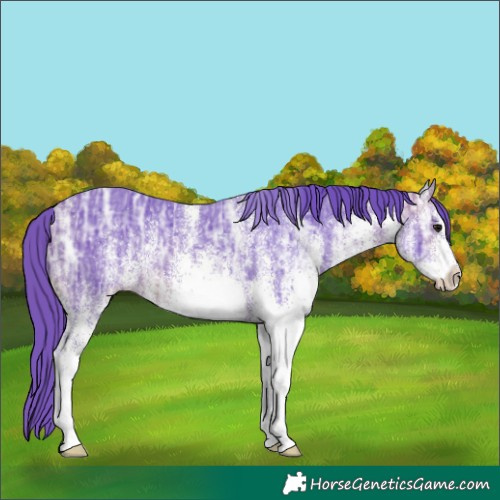 Horse Color:Watercolor White Spotted Brown Ice 