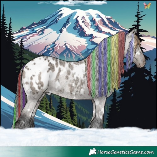 Horse Color:Painted White Spotted Liver Red Dun Ice Roan Appaloosa Rabicano 