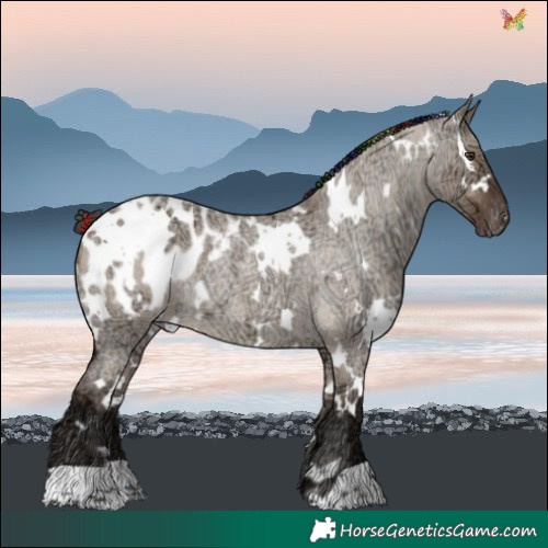 Horse Color:Painted White Spotted Liver Red Dun Ice Roan Blanket Rabicano 