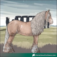 Horse Color:White Spotted Gold Champagne Ice Mushroom Sabino Splash 