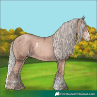 Horse Color:White Spotted Gold Champagne Ice Mushroom Sabino Splash 
