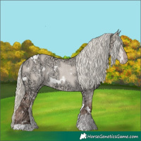 Horse Color:White Spotted Gold Champagne Ice Dun Mushroom Sabino 