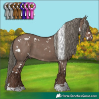 Horse Color:White Spotted Liver Red Dun Mushroom 