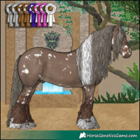 Horse Color:White Spotted Liver Red Dun Mushroom