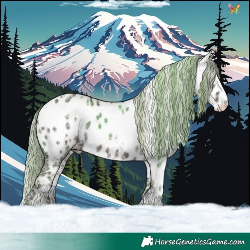 Horse Color:White Spotted Silver Black Ice Appaloosa 