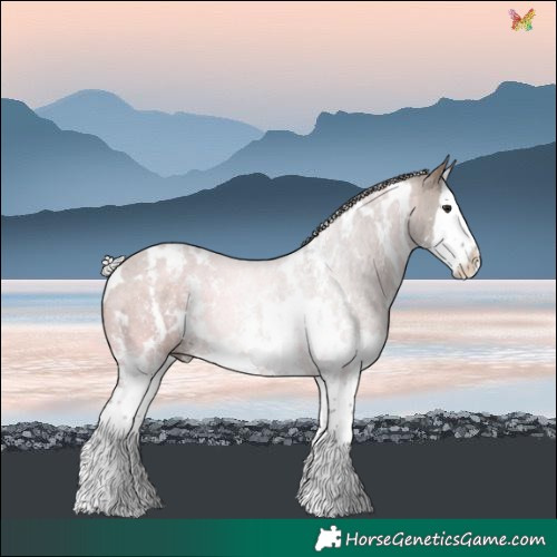 Horse Color:White Spotted Silver Brown Dun Sabino Splash 